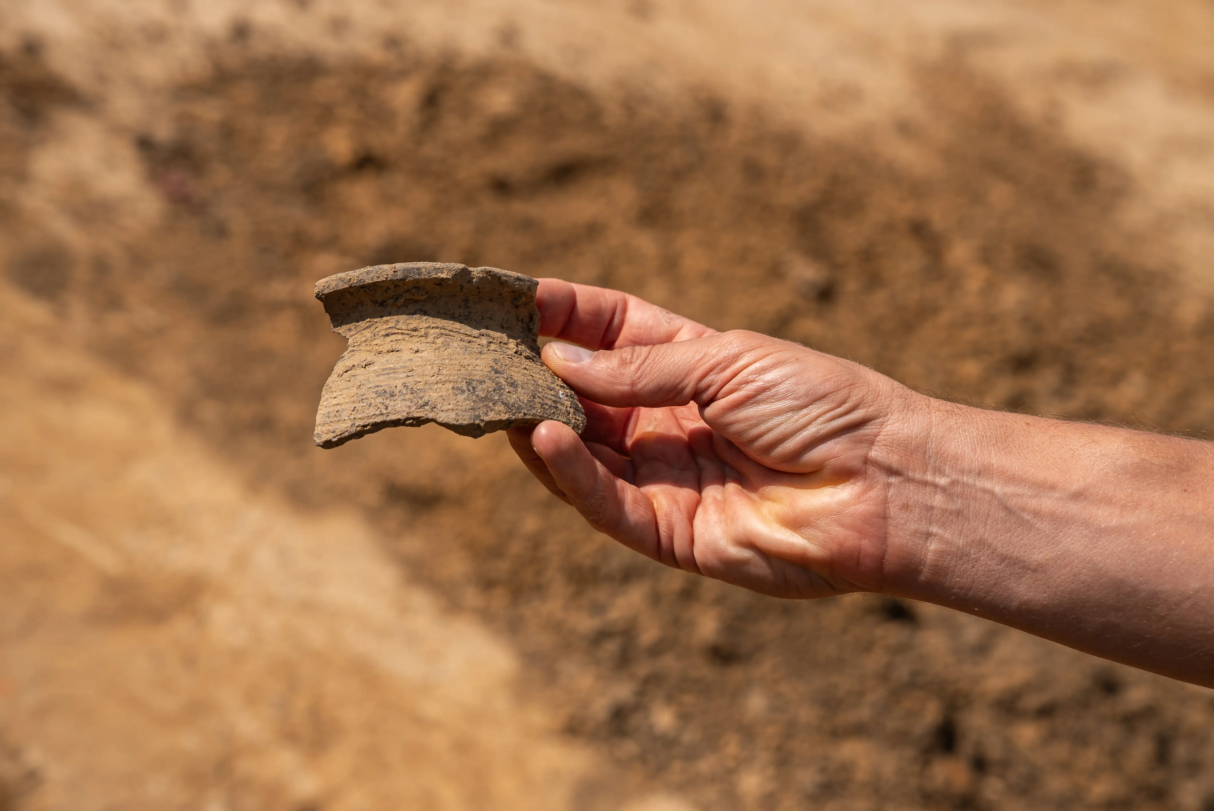 7. Excavation Site